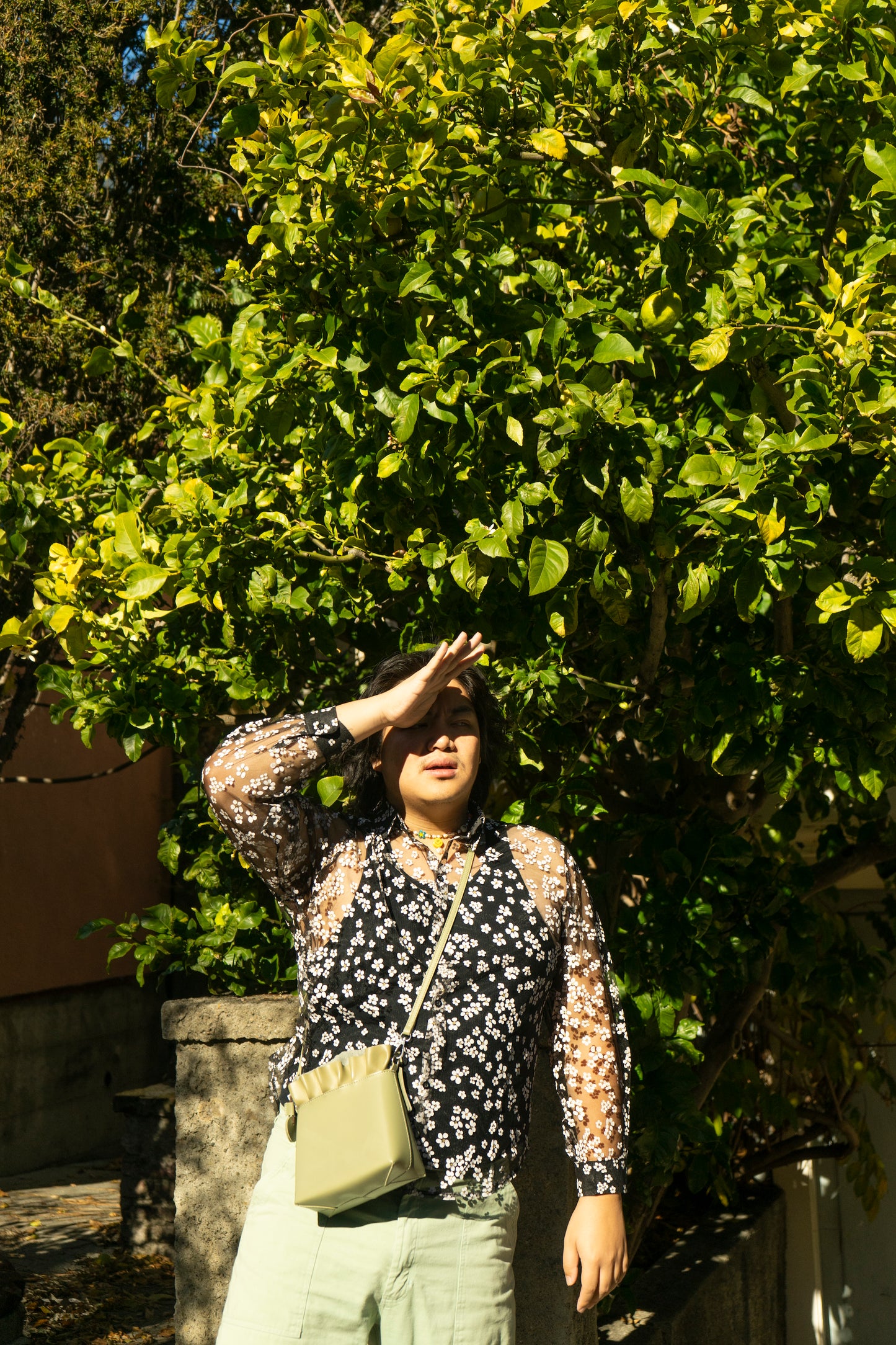Sean Daisy Button Up